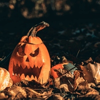 Untitled Design 2019 10 15T121624.728