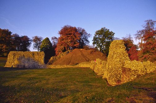 Berkhamsted castle1.jpg