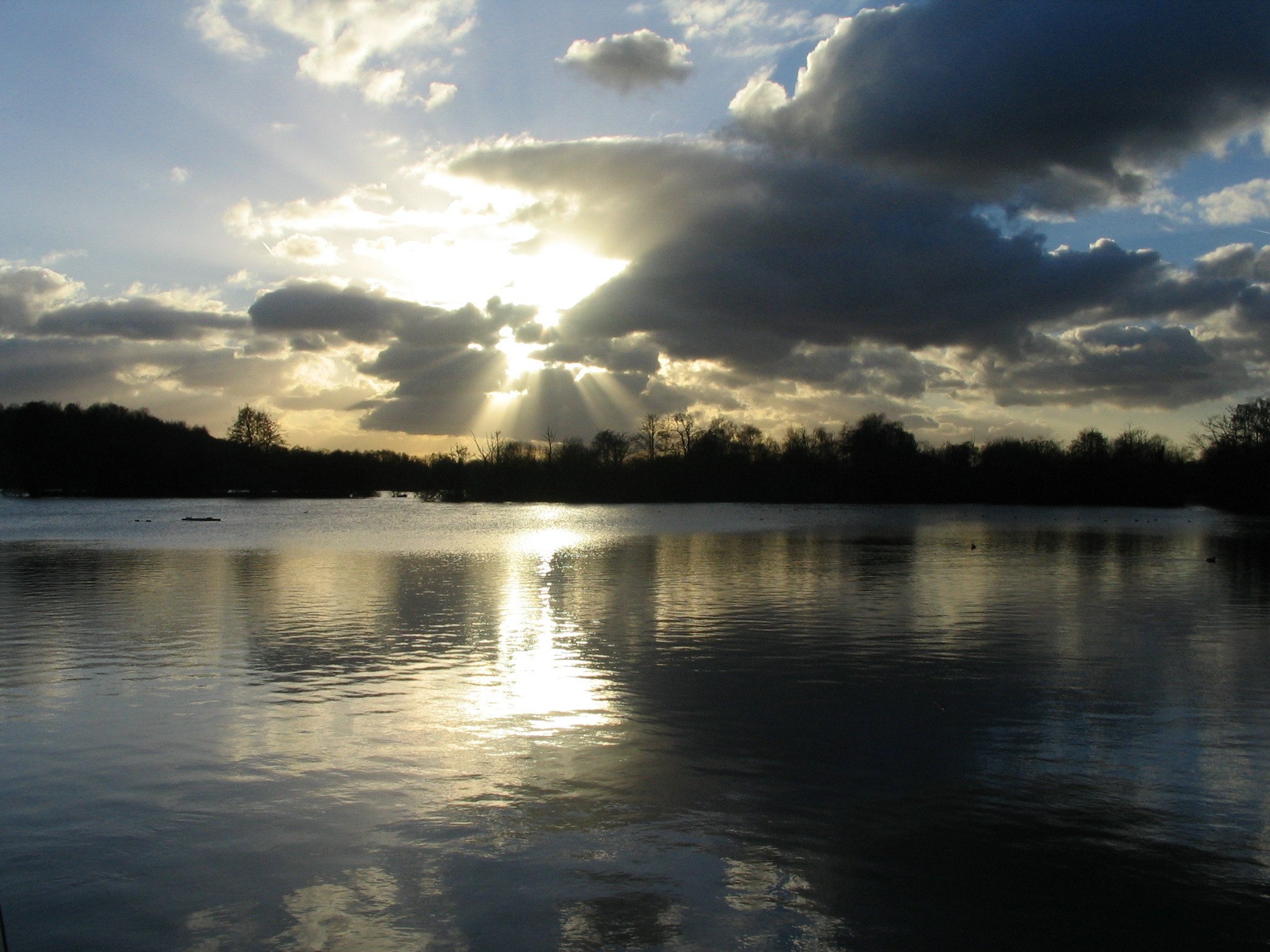 Stocker’s Lake Wood Nature Reserve (Herts and Middlesex Wildlife Trust).jpg