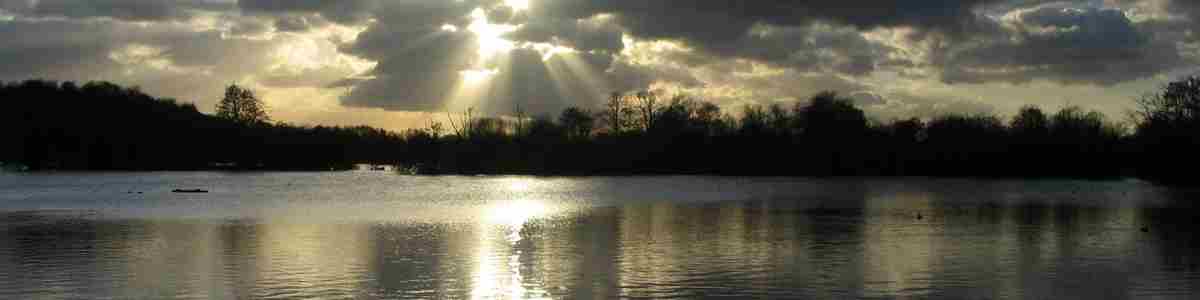 Stocker’s Lake Wood Nature Reserve (Herts and Middlesex Wildlife Trust).jpg