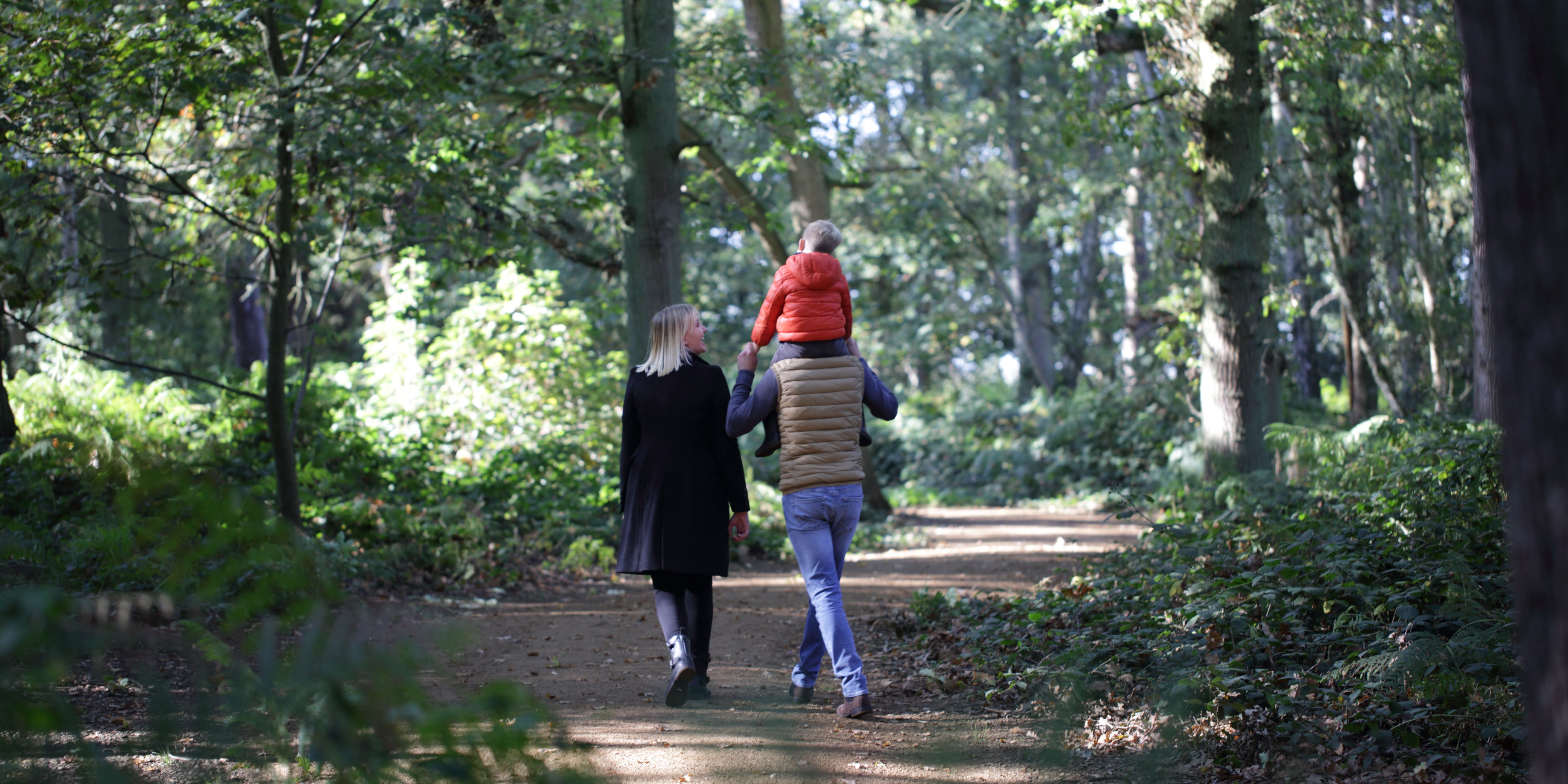 The Grove Woodland Walks