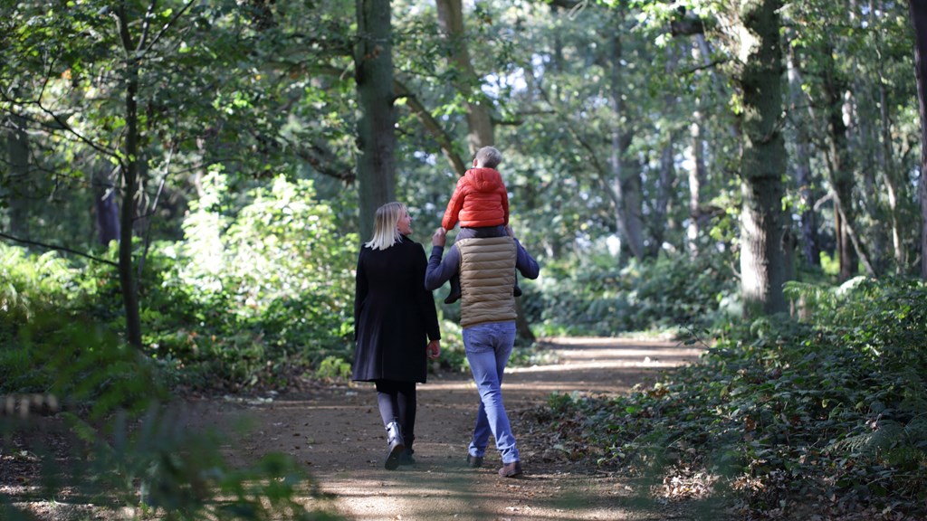 The Grove Woodland Walks