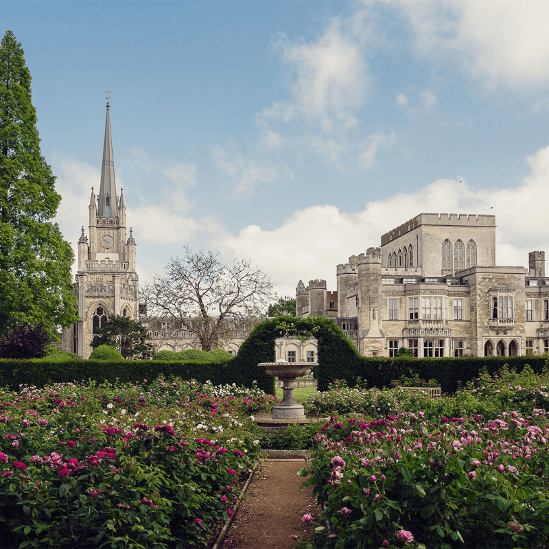 Feature Image Template (7)