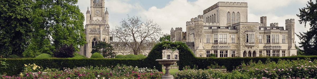 Copy Of Website Banner