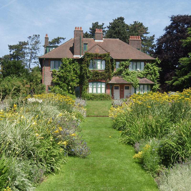 Shaw's Corner 800X800