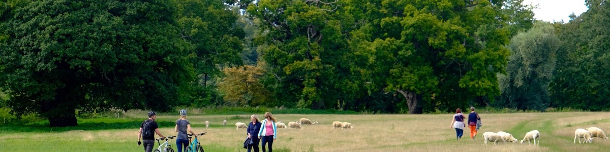 Panshanger Park2.jpg