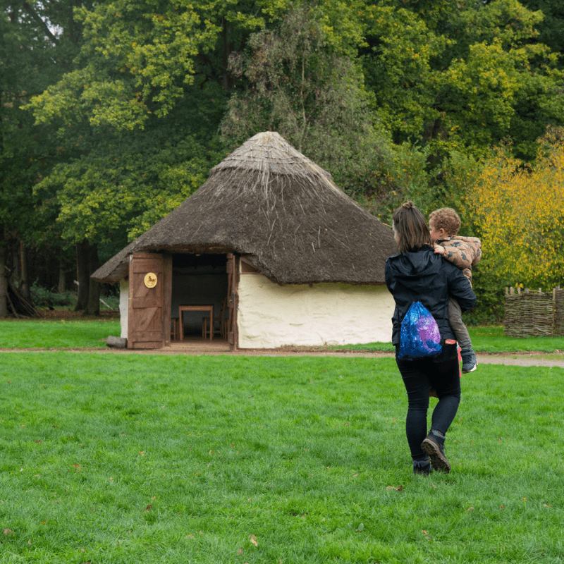 Celtic Harmony 800X800