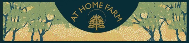 0e22d8cd-cd57-44b1-a38d-1f7877f48e99-Newsletter Banner.jpg