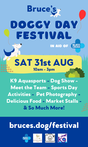 35763ef1-8bce-4d45-8b5b-ea7e3487b3d6-Doggy Day Festival Poster Ext (300 x 500 px).png