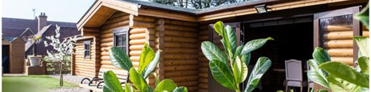 cabin through laurel.jpg