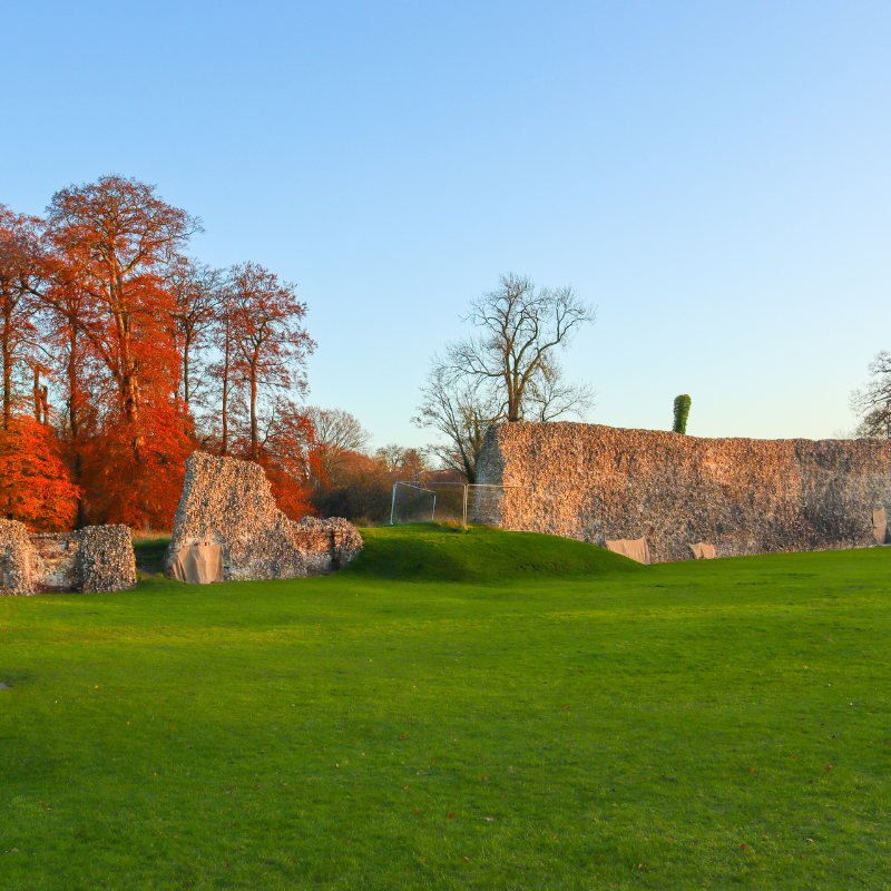 Berkhamsted Castle 800X800