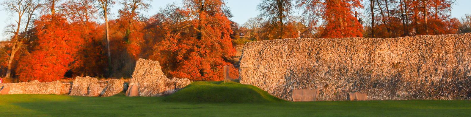 Berkhamsted Castle Banner (1)