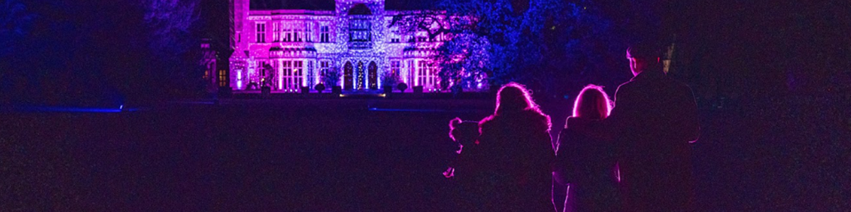 Ashridge Christmas Trail