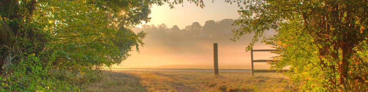 Stevenage Misty Morning Monks Wood Looking Across Fairlands Valley
