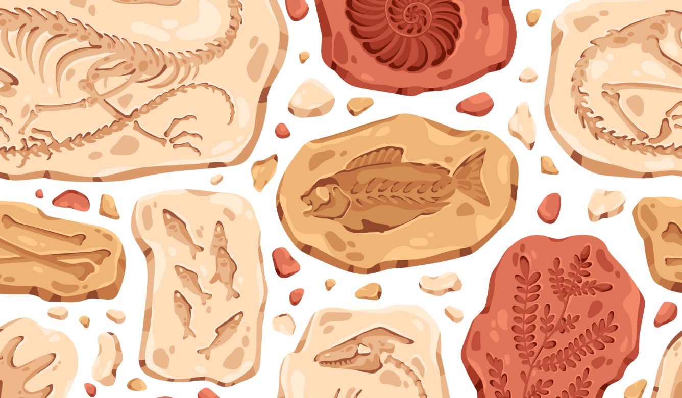 3d1d11ce-103d-4f43-81fc-d458542e3a05-fossil casting AT.jpg