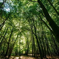 Your Paragraph Text (9)