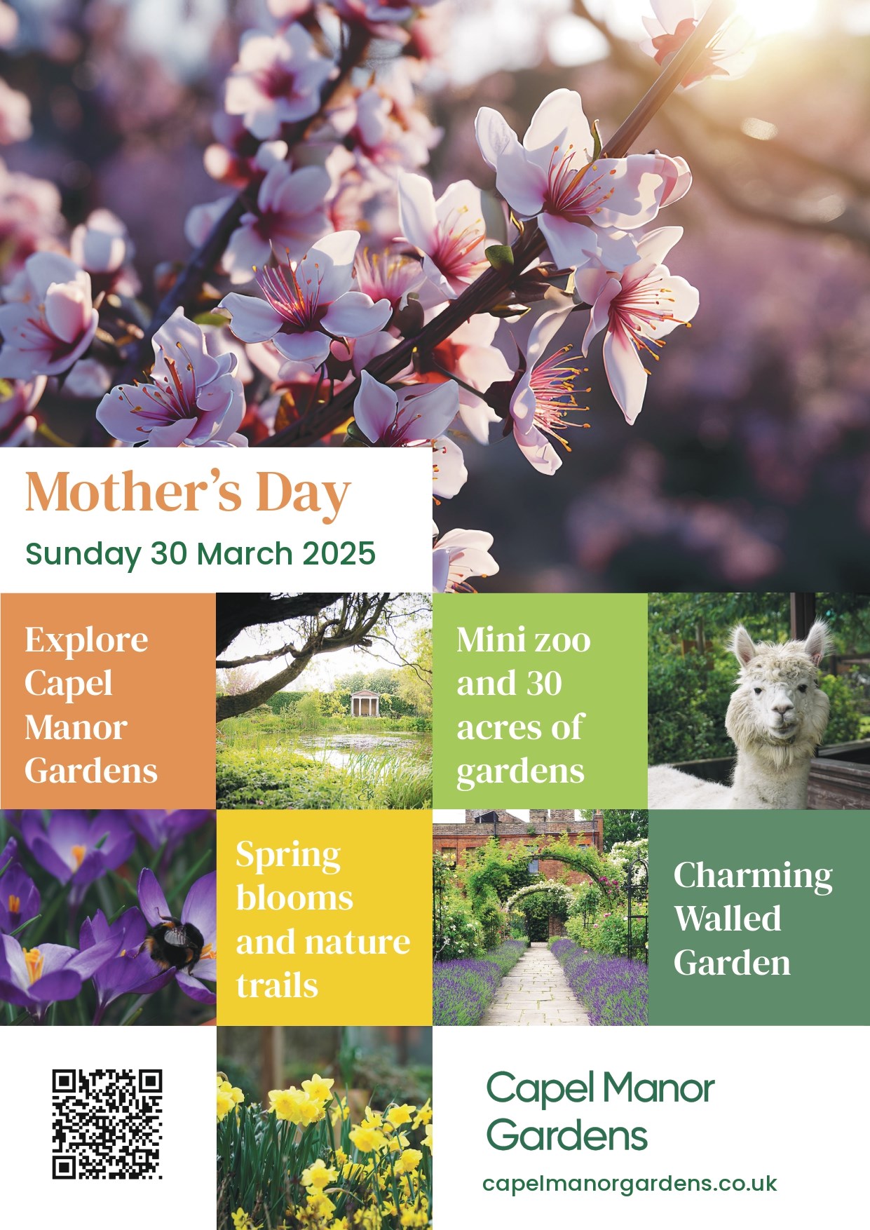 ebffa40b-b8ac-4322-87f0-cd36906a50af-Mothers day 2025 poster_final_page-0001.jpg