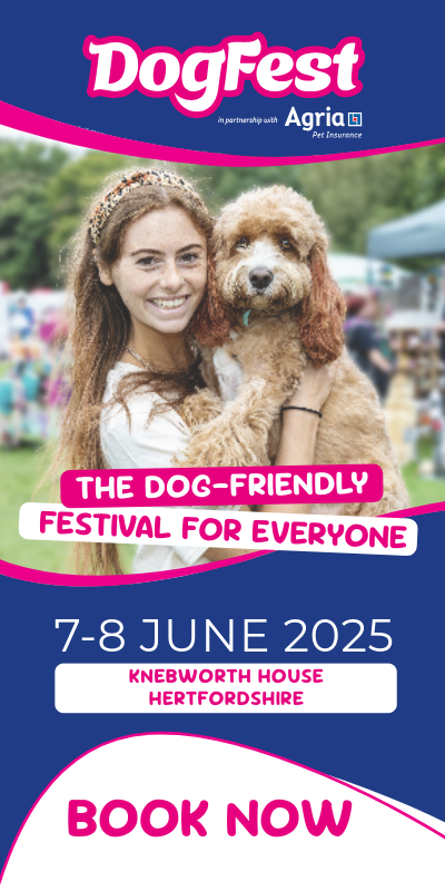 3cc6c7b3-fa1f-4f34-a15b-e37ae53a5363-Knebworth Display Ad 300x600 DF25.png