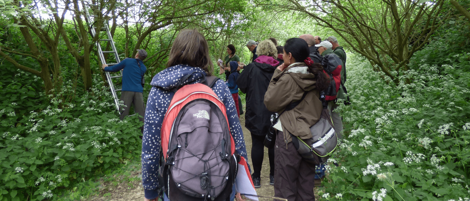 3a3277dd-b1c5-4742-a4a3-4393f44058e9-Nestbox Watch.png