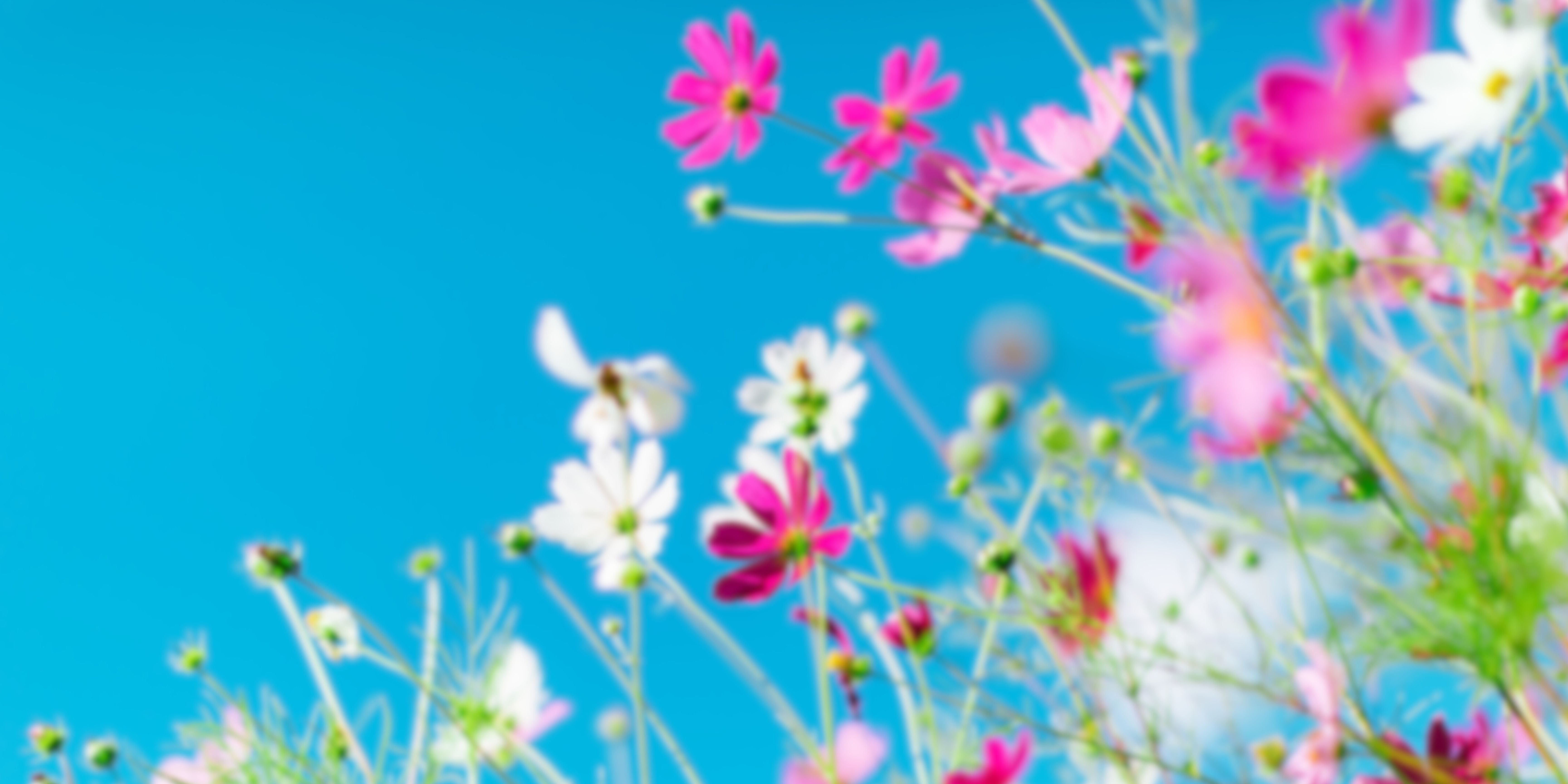 Blog Banner Whats On In June