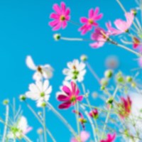 Blog Banner Whats On In June