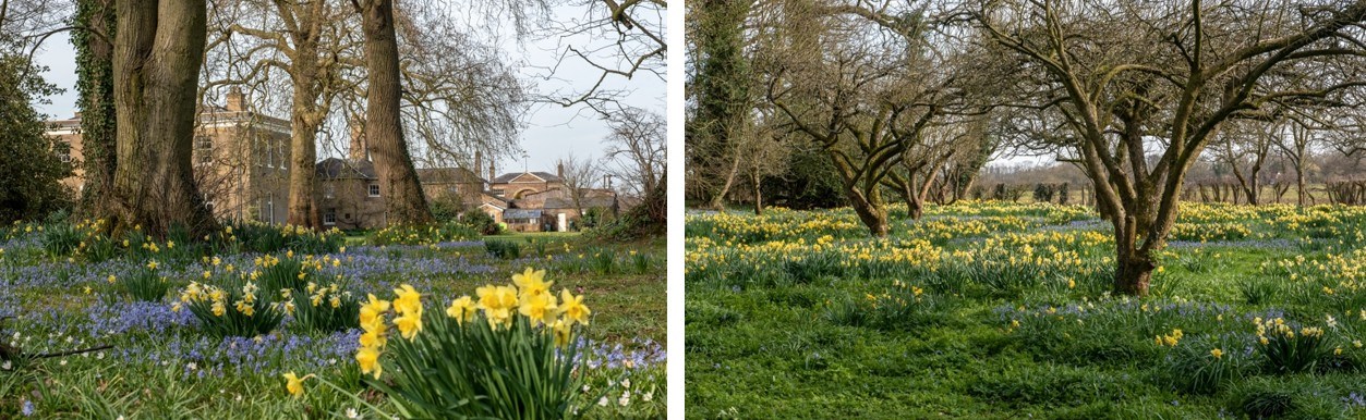 28bdbc18-0dd1-4164-a901-3762315d069a-Walkern Hall_ 31st January.jpg