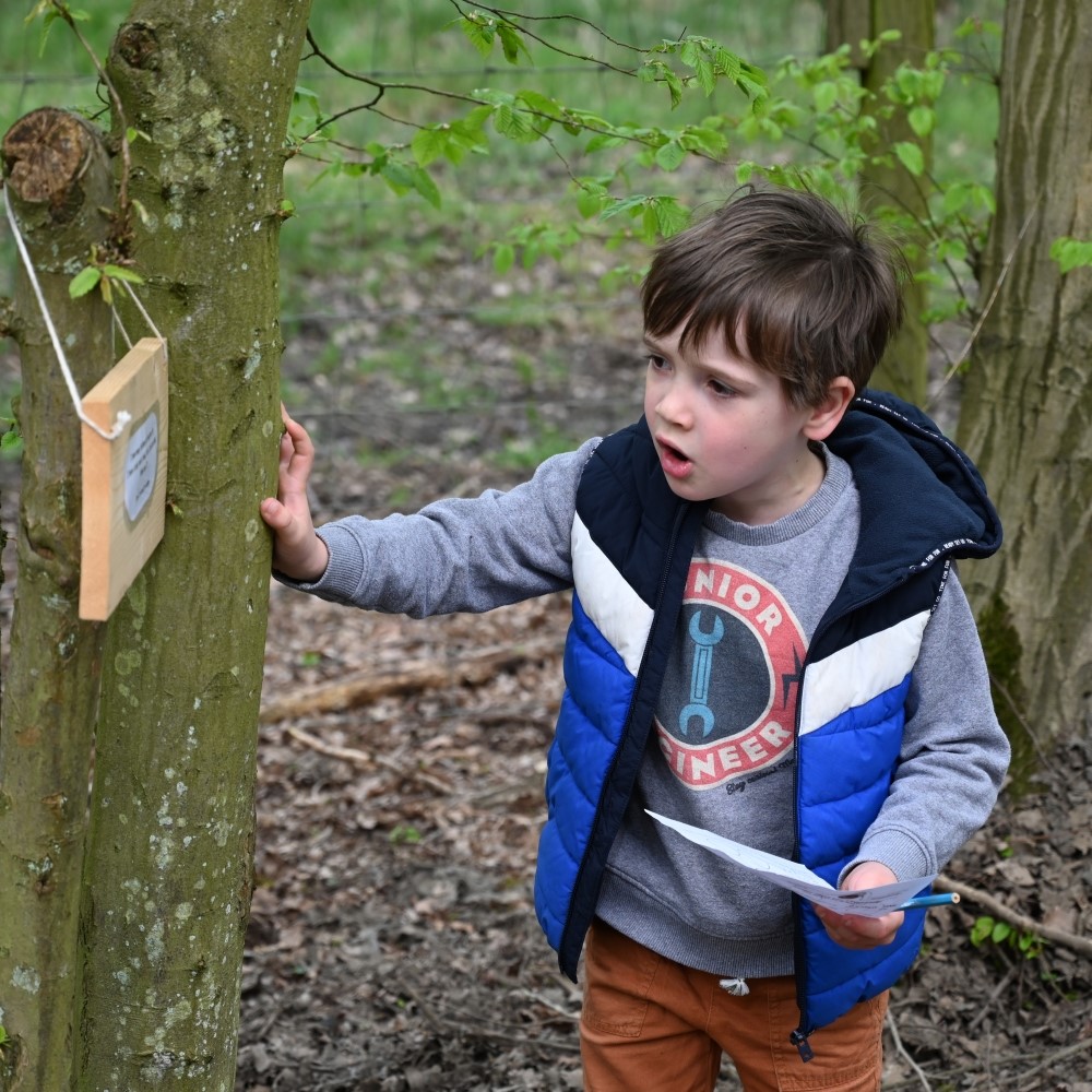 89d0e0c1-7058-4c23-bc53-2d676369ea63-Celtic Harmony Fairy Trail_17.JPG