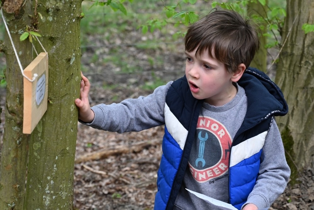 47ceda79-67e2-4a29-ba97-f7fefcaa3141-Celtic Harmony Fairy Trail_17 copy.JPG