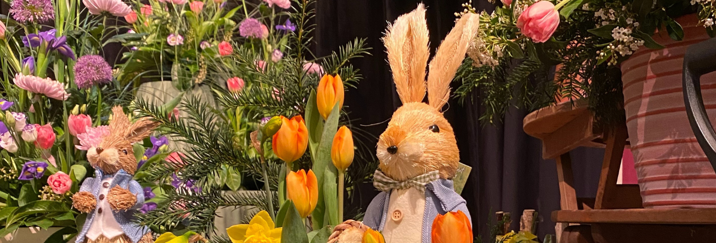 ee792c12-55a7-4b8b-ae96-19cc830c086c-SFD 26.png