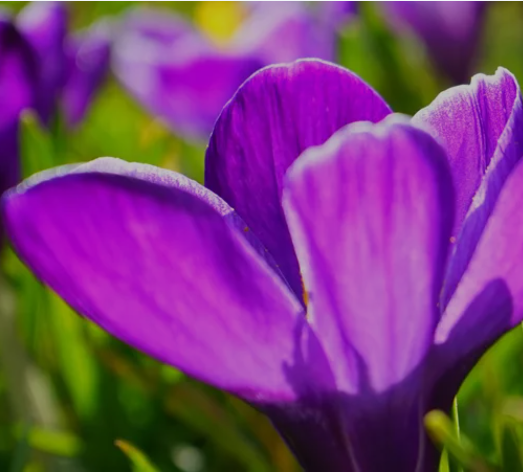 Screenshot 2026 03 10 231734