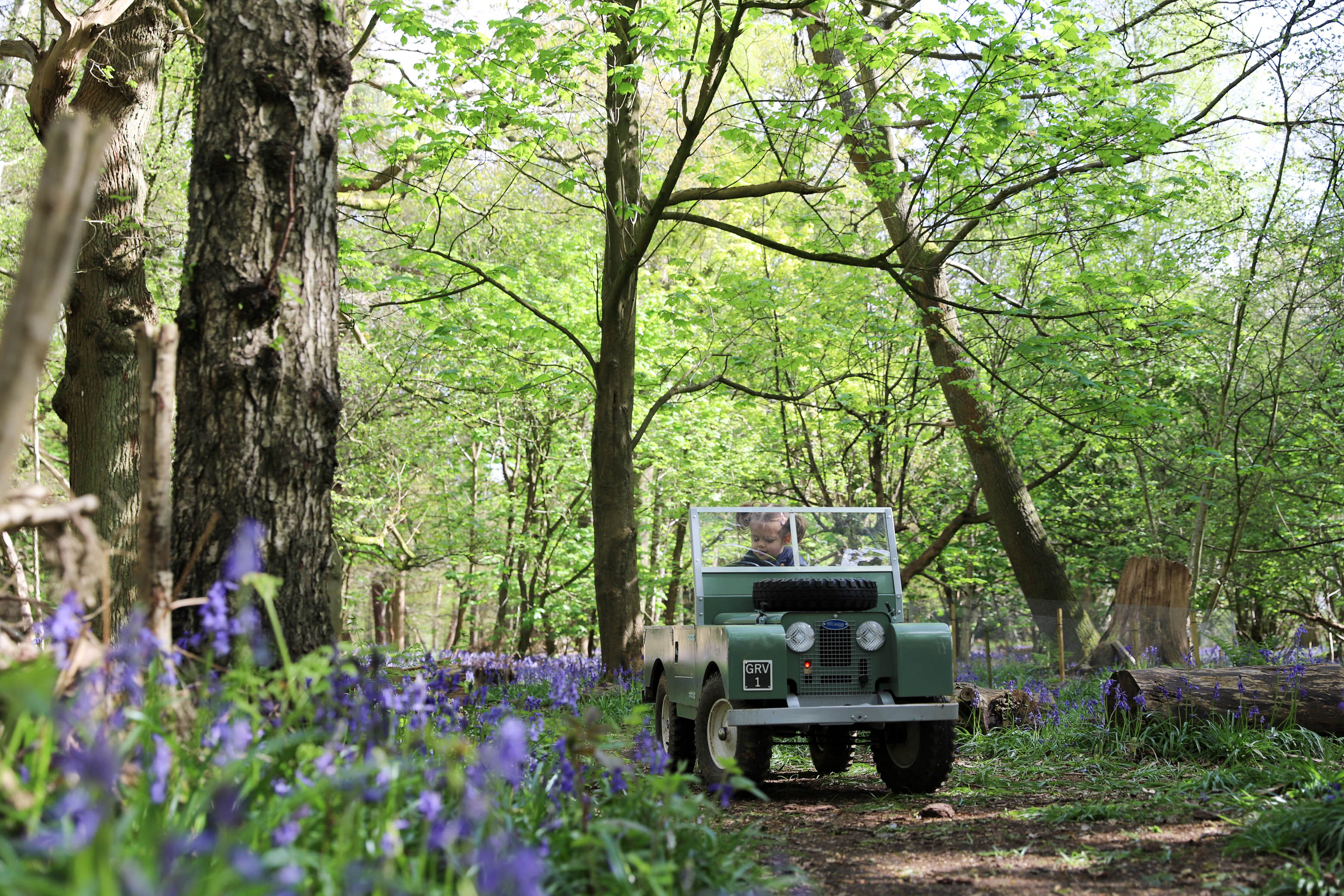 Mini Landies Bluebells Asher's Trails Woodland Trails 4566