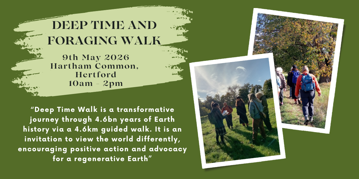 3b683846-3d54-4aa4-8c37-9fe163e5d0ae-DTW walk banner poster_spring.png