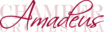 6a471d21-527c-4ae5-955c-296a2c0704bd-Amadeus logotype burgandy@0.5x.png