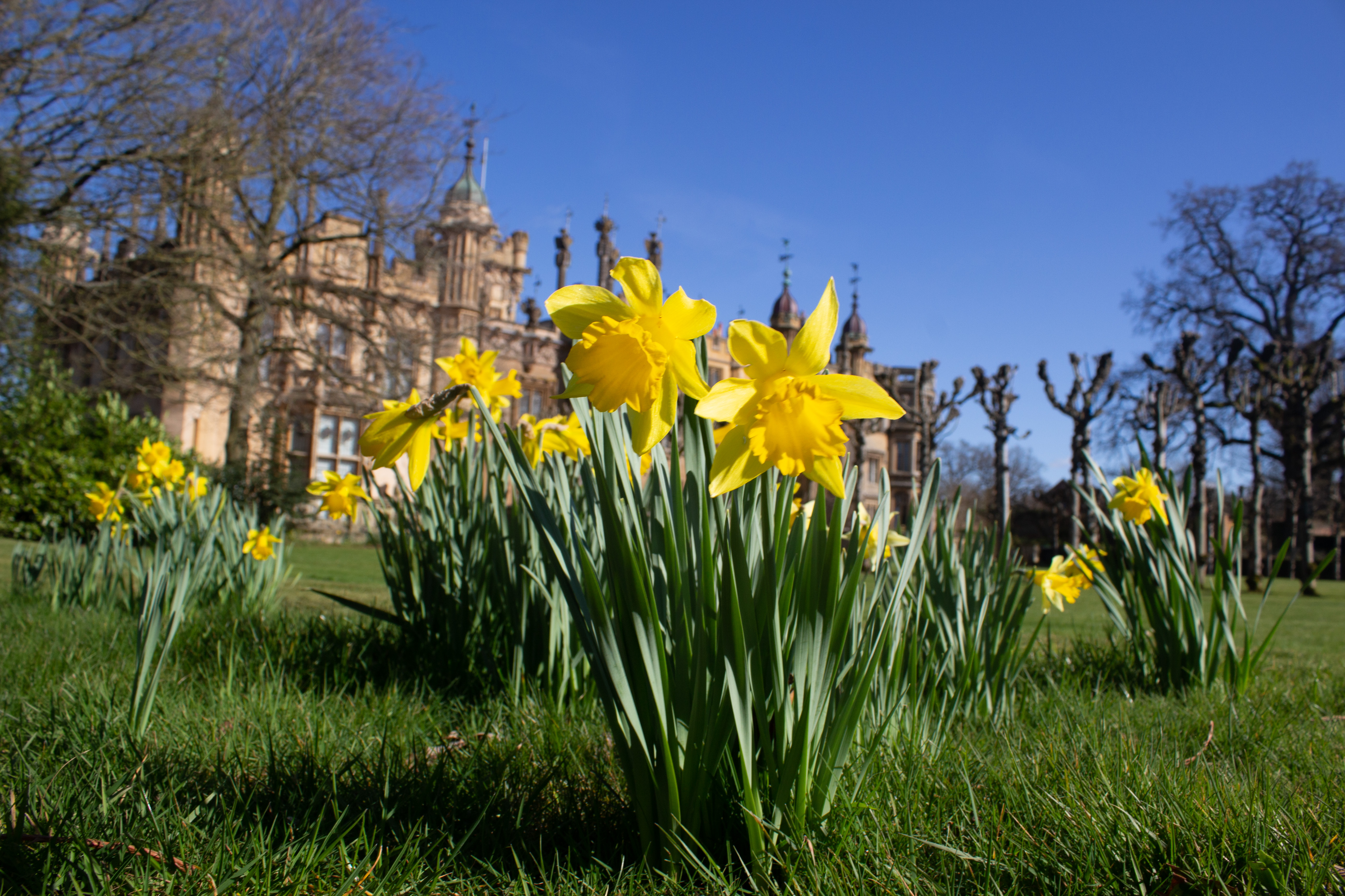 Knebworth House & Gardens