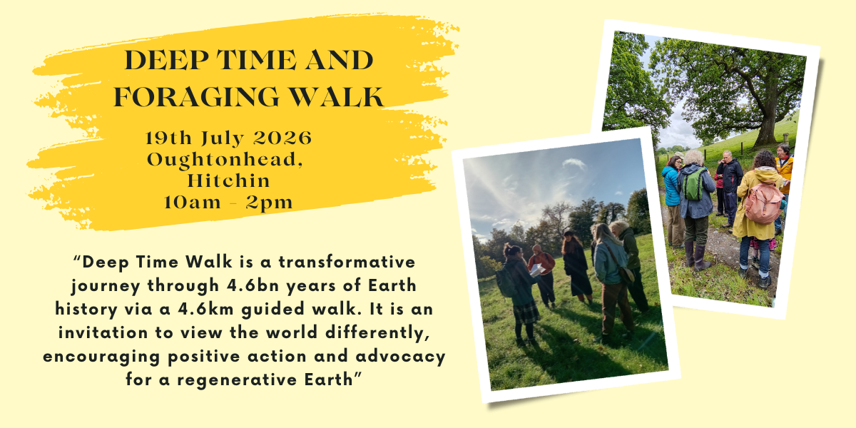 0d53d2e2-fb67-4d14-b3b0-f7dc6b422b6c-DTW walk banner poster_Summer.png
