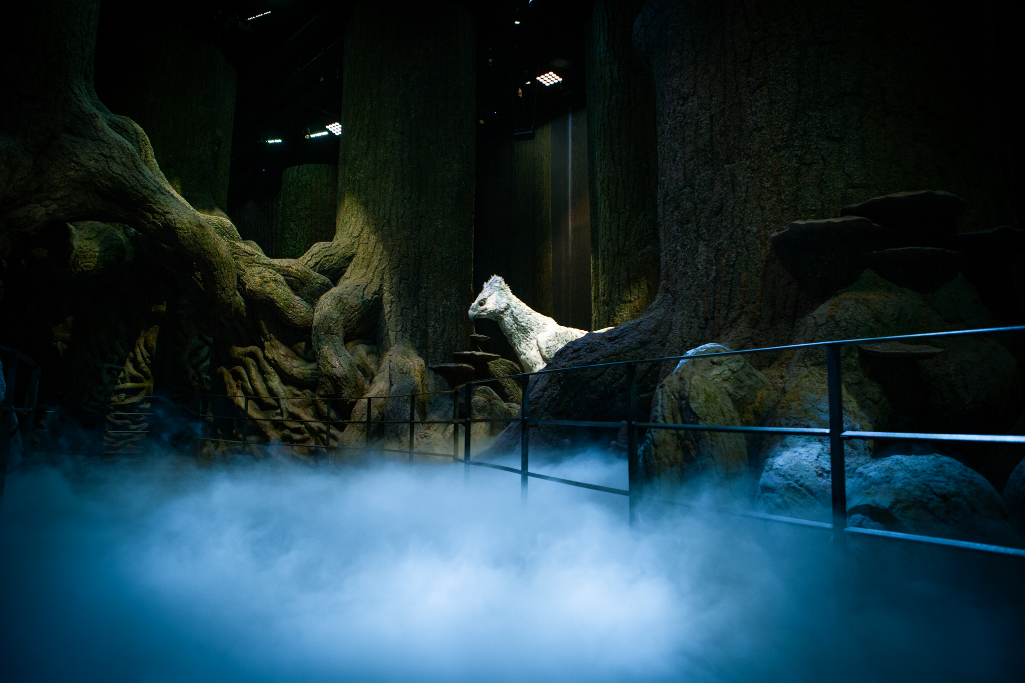 Forbidden Forest July 2019 LR11