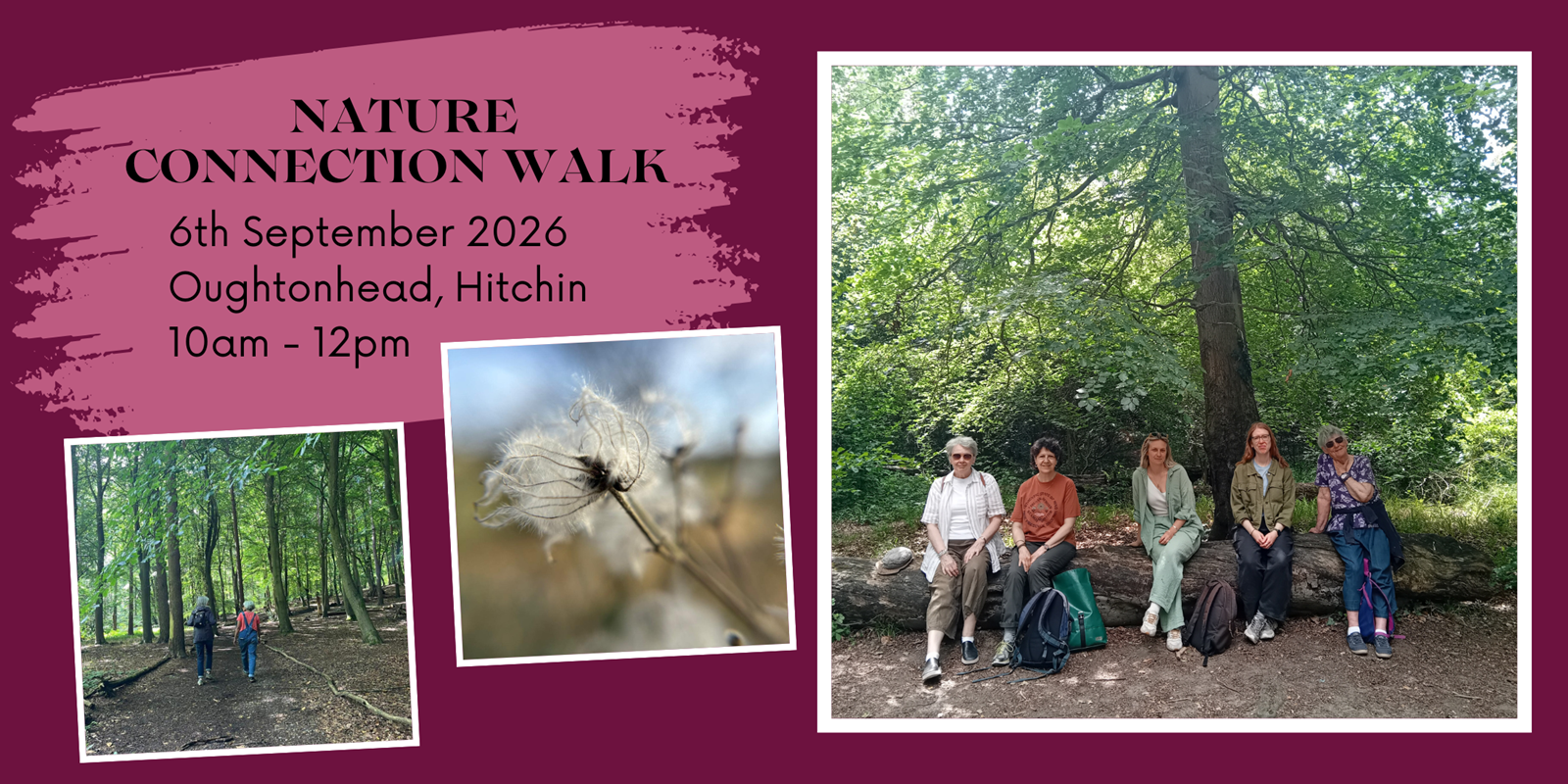 ef4fae57-962f-472a-b6d4-d8f70351ee00-Nature Connection walk banner_Summer.png
