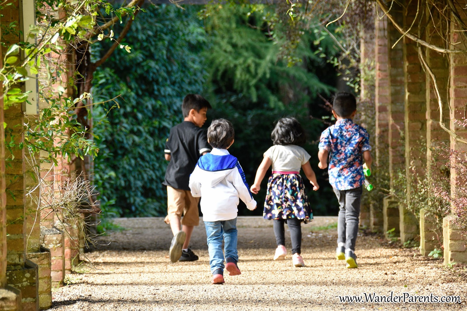 8bbe6db4-3b47-4482-ab32-92db79d6dd78-Wander Parents 4.jpg