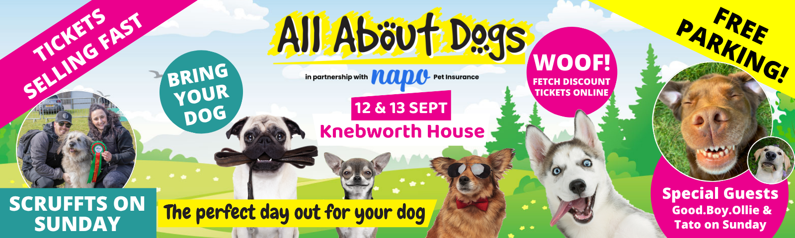 083f6857-5d7f-4bb4-930e-e225c068d591-AAD Knebworth Banner_1600x480.png
