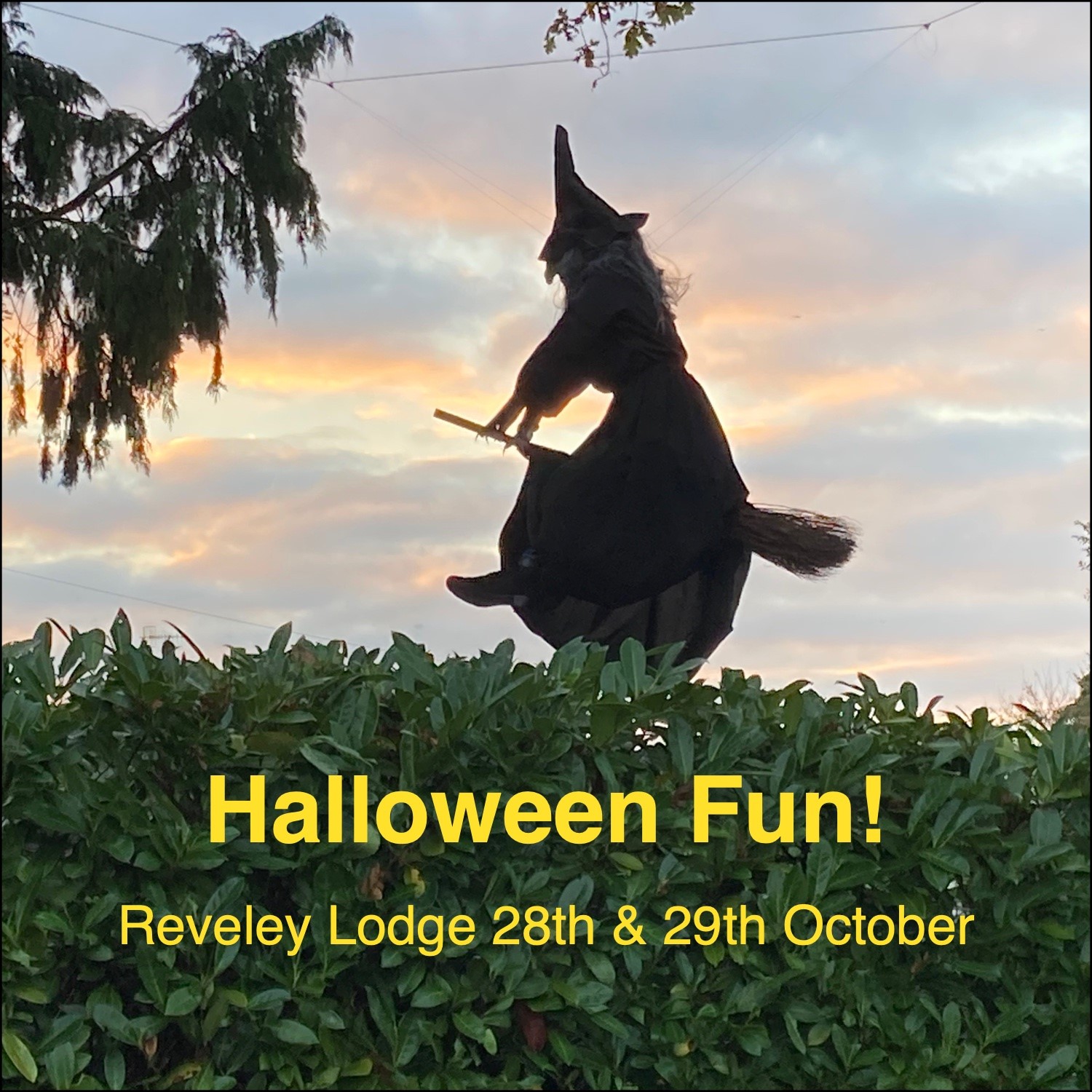da5857bd-f607-47e6-bd51-ee49be8ab9f3-Witch Thumbnail.jpg