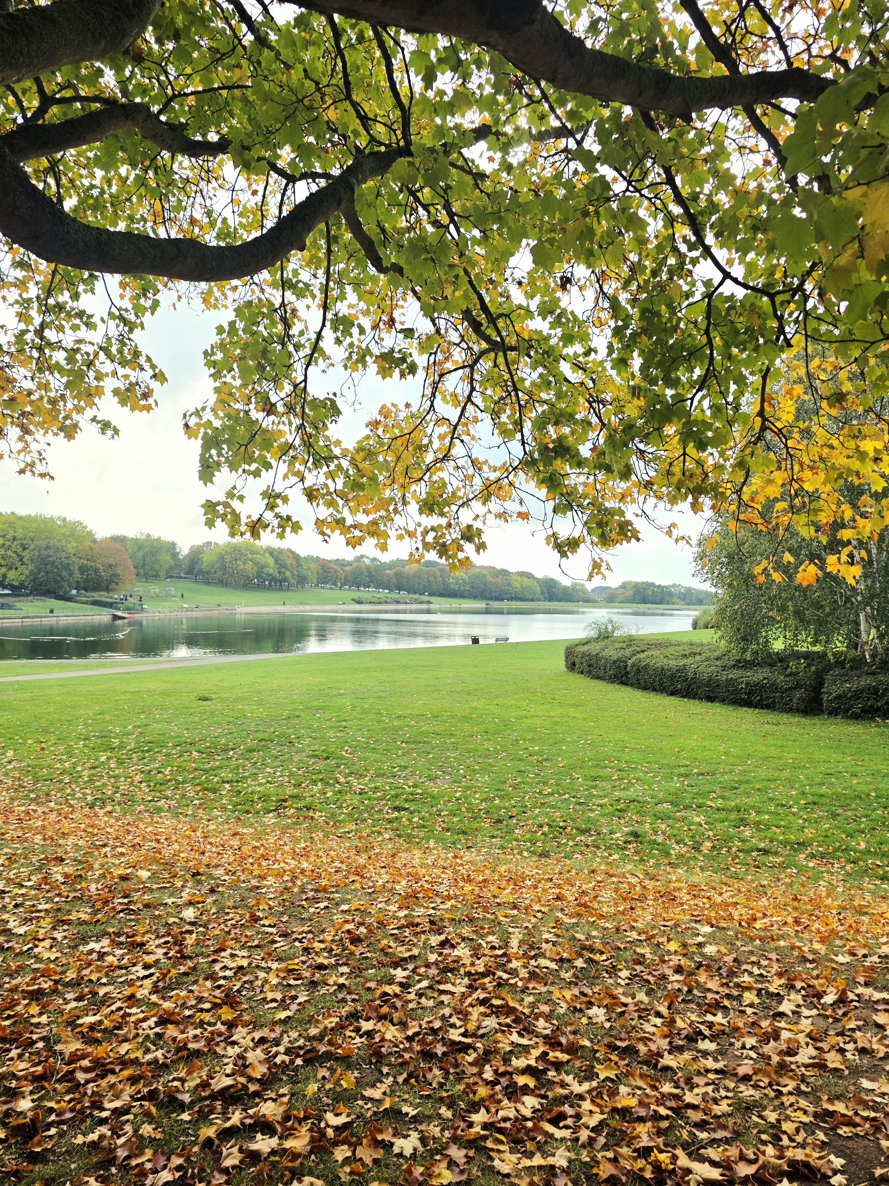 Stevenage