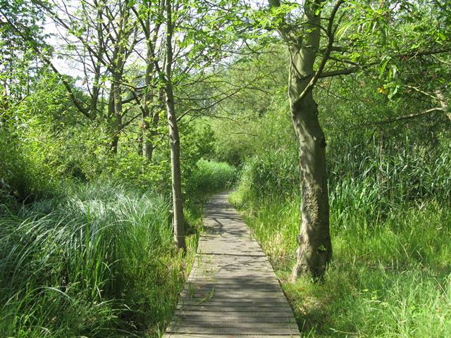 Broxbourne old mill and meadows.jpg