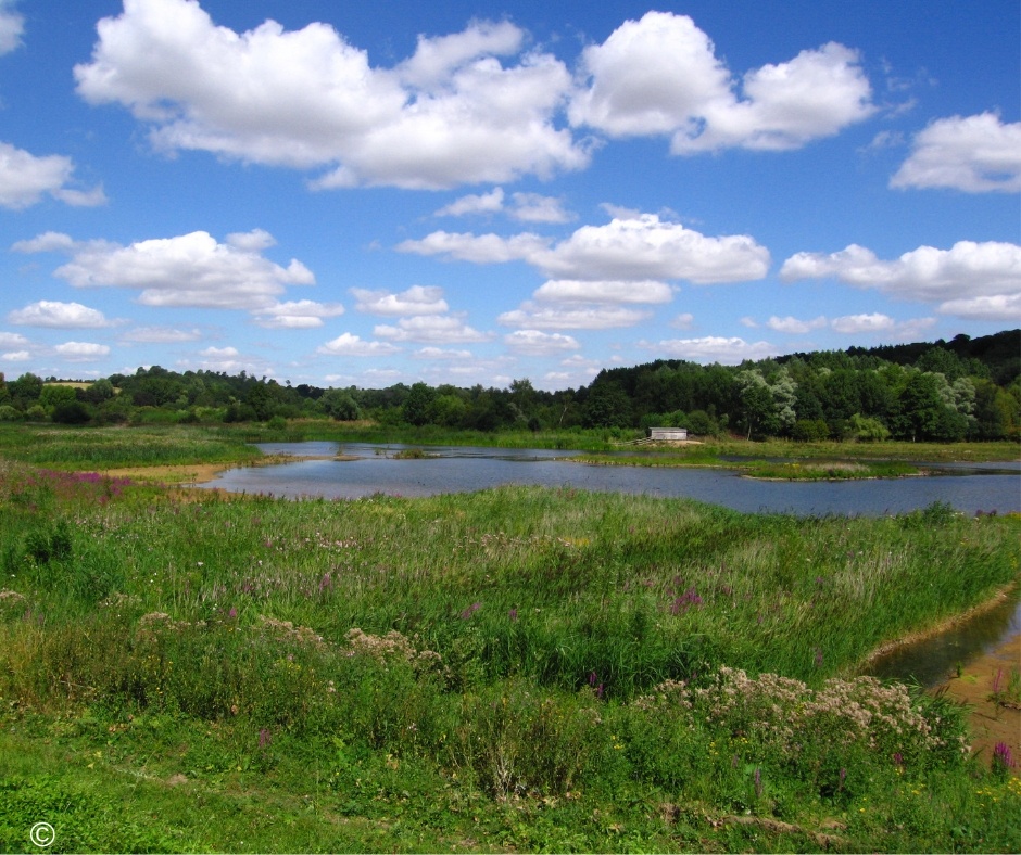 © The Trustees of the Natural History Museum, London (2).jpg