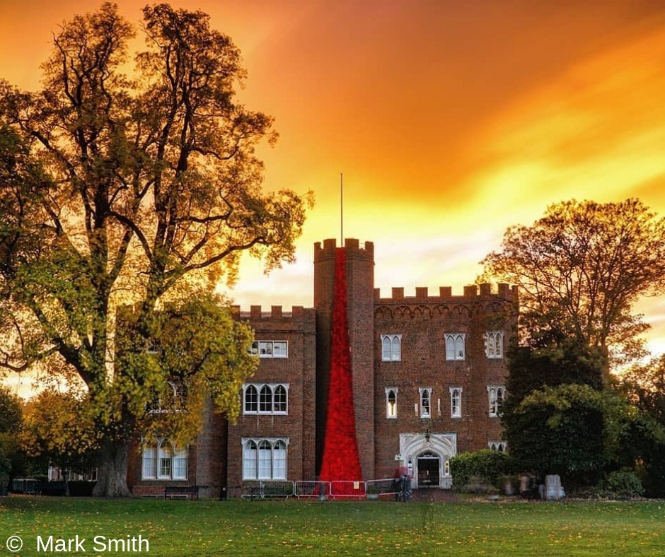 © The Trustees of the Natural History Museum, London (5).jpg