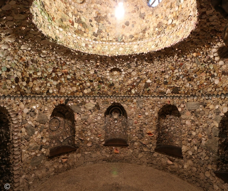 © The Trustees of the Natural History Museum, London (8).jpg