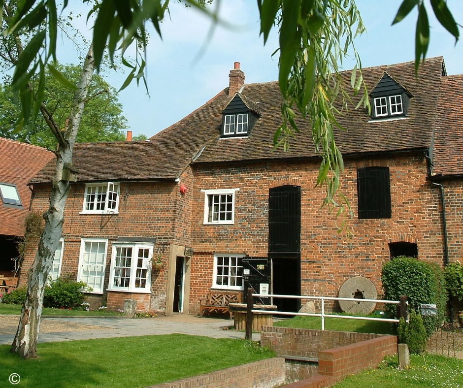 © The Trustees of the Natural History Museum, London (13).jpg