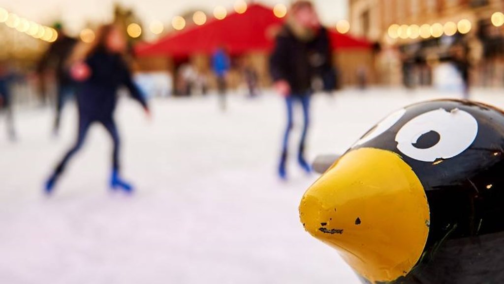 Stable Yard (1).jpg (1)