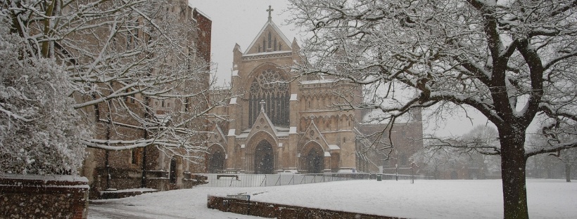 Untitled design (70).jpg