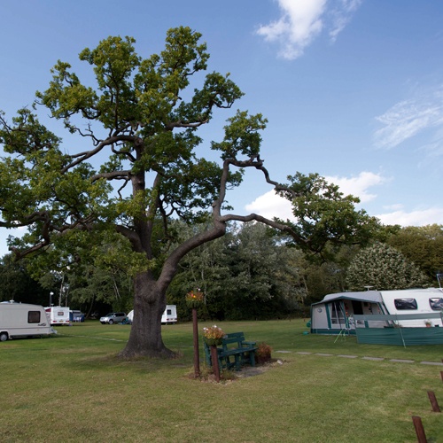 Camping Caravanning 500x500.jpg