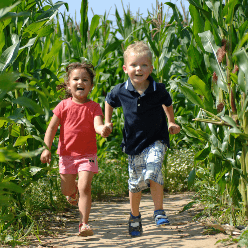 February half term fun in 2025 Visit Herts